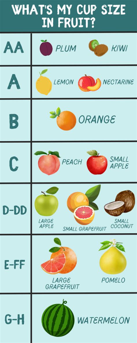 f boobs|Breast Size Comparison Side by Side